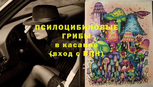 дурь Верхний Тагил